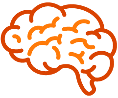 a brain