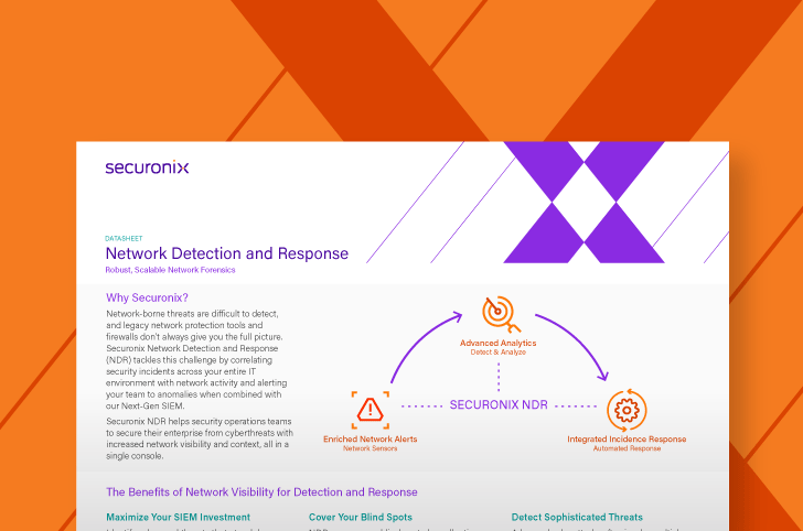securonix logo and data sheet cover